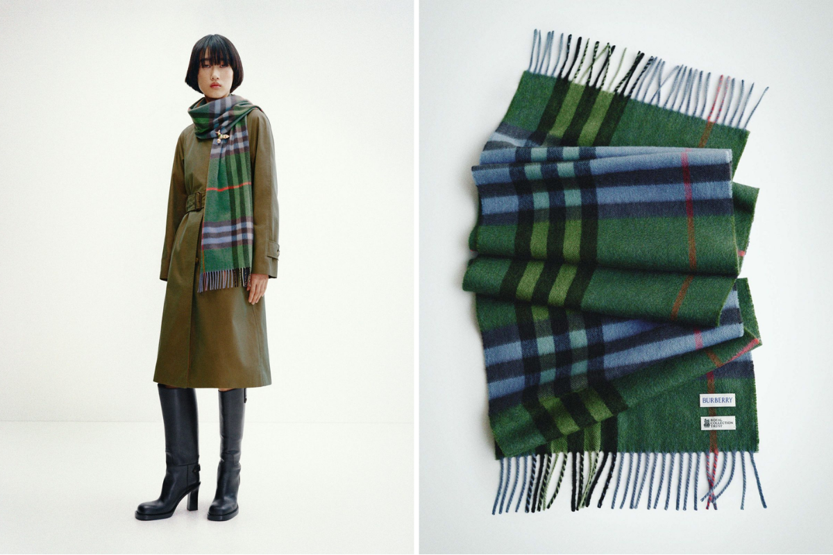 Cpsula real de Burberry