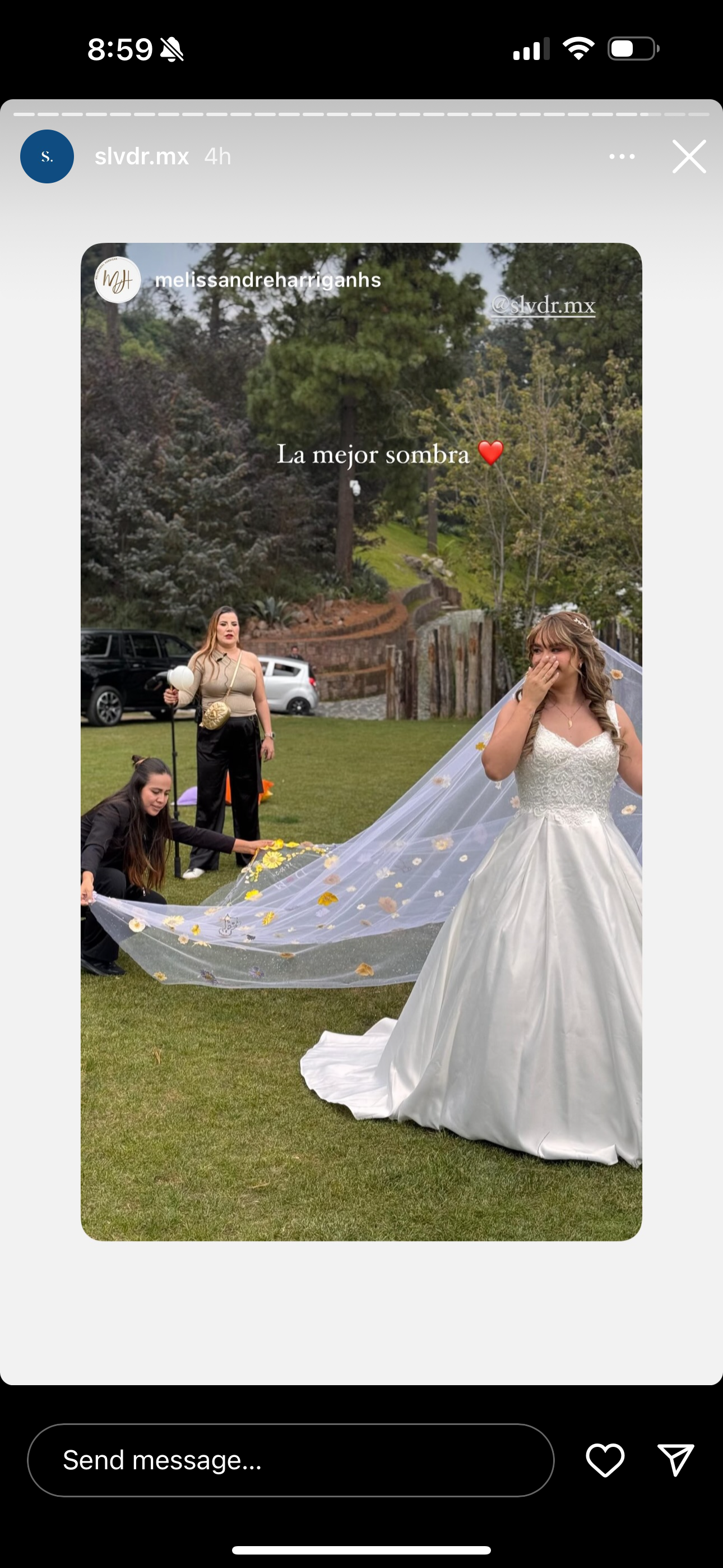 As fue la boda de Daniela Lujn y Mario Monroy