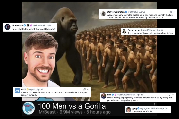 MrBeast busca 100 voluntarios para luchar contra un gorila y consigue miles
