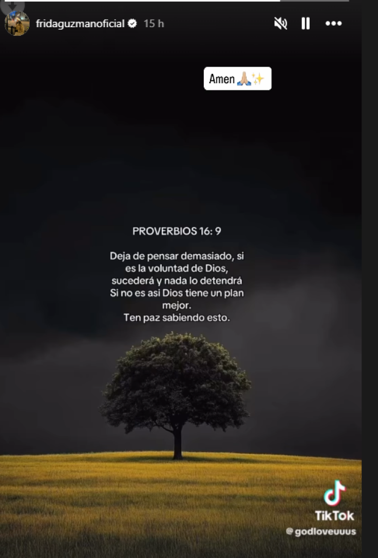 Mensajes de Frida Guzmán deportación y prisión de JulioCesar ChavezJr