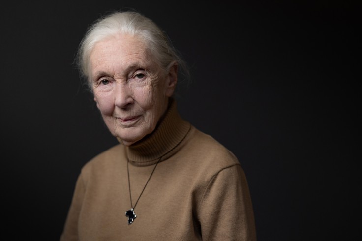 La causa de la muerte de Jane Goodall, cuantos años